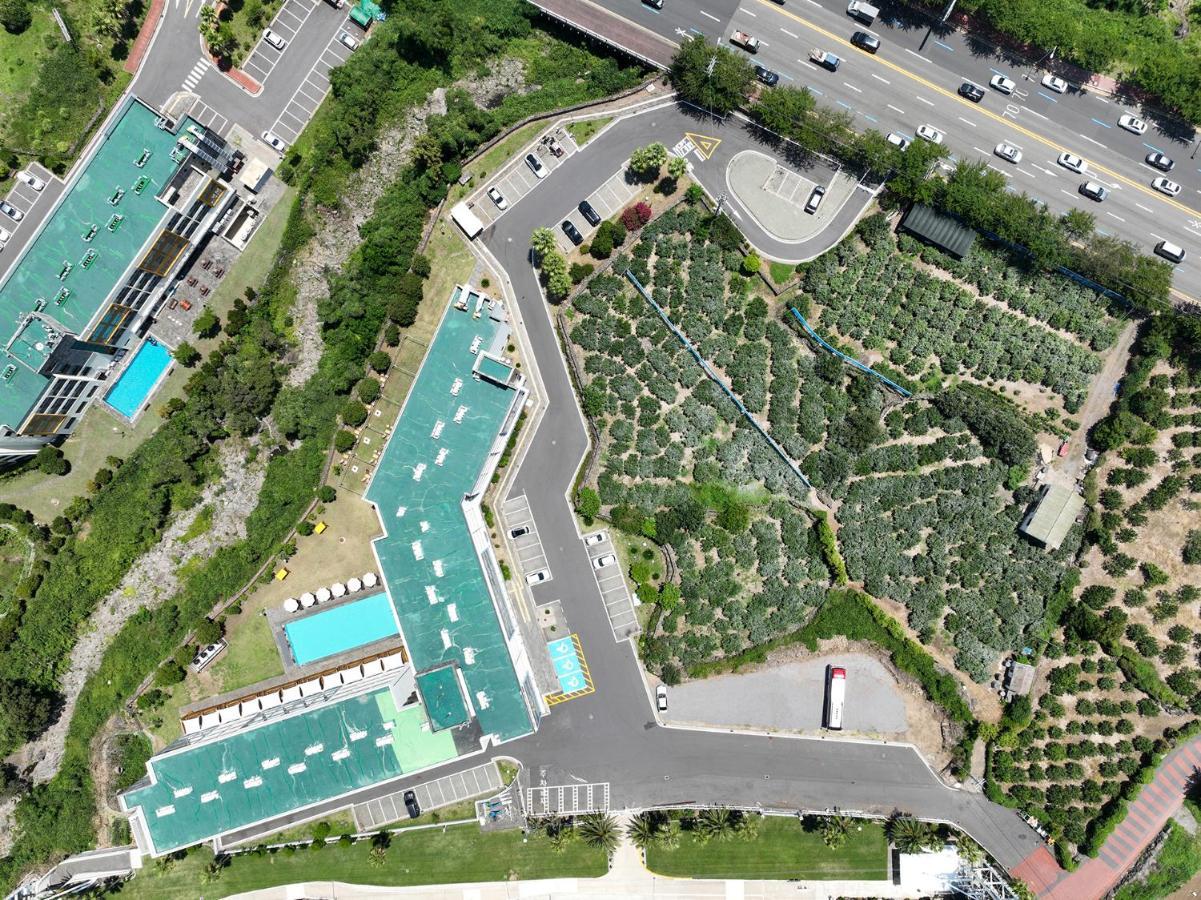 Shin Shin Hotel Jeju City Экстерьер фото
